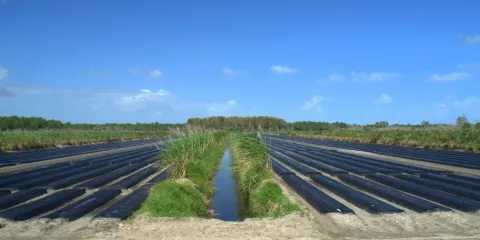Cypress Creek Natural Area