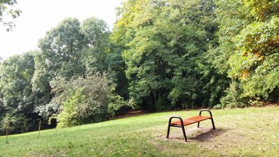 Jan III Sobieski Park