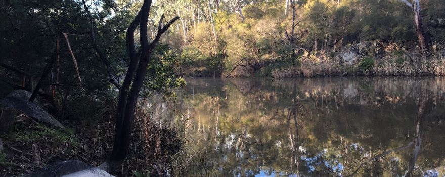 Warrandyte State Park - Jumping Creek Reserve