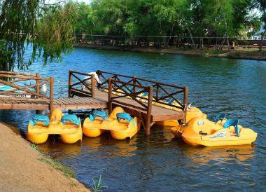 Culiacan