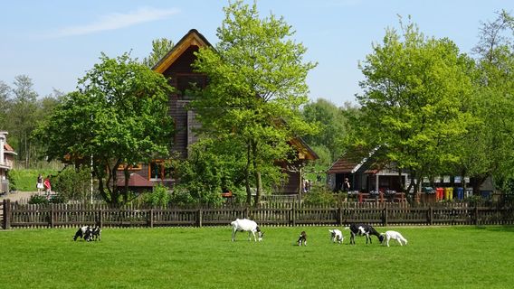 Speelboerderij Elsenhove