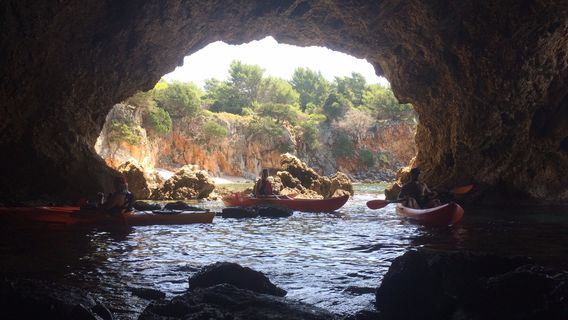 Into the wild Preveza