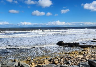 Seaham Beach