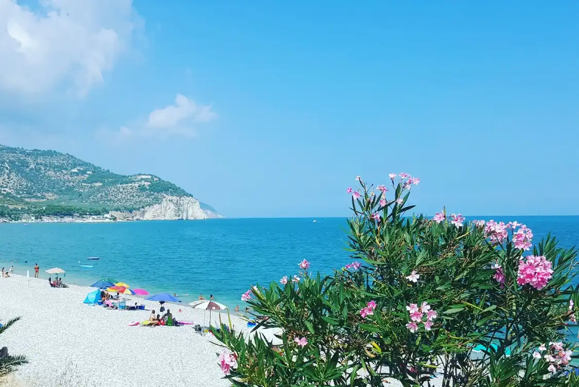Hotels near Mattinata Piana Beach