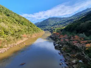 Ponte de Ferro - Rio das Antas