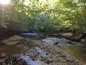 Alum Spring Park