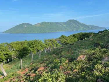 La Union