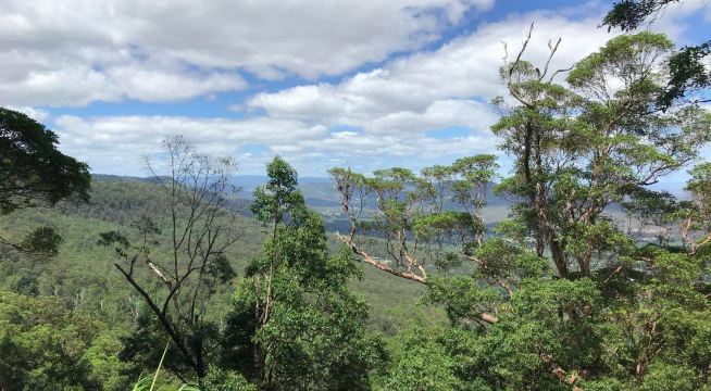 Witches Falls walking track