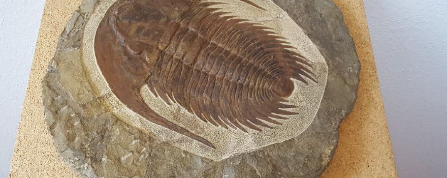 Naturerlebniswelt Haus der Edelsteine