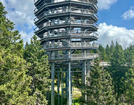 斯洛文尼亞科尼采 自由行套票