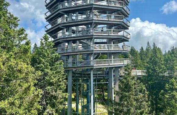 斯洛文尼亞科尼採