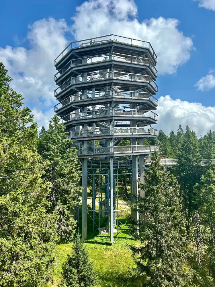 Hotels in Rogla