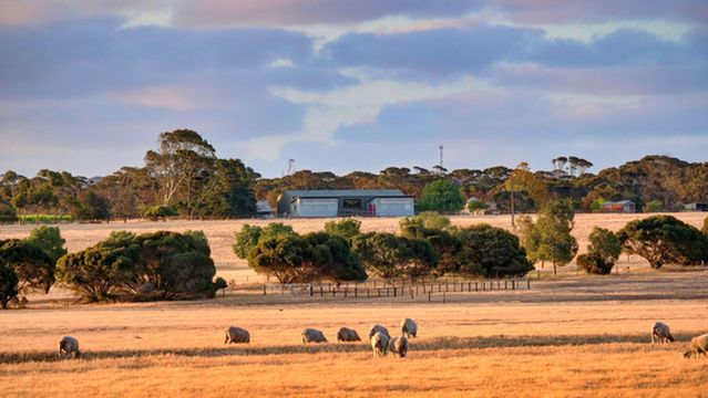 Springs Road Kangaroo Island