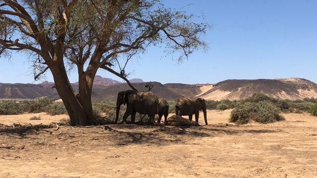 EHRA - Elephant Human Relations Aid