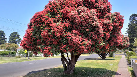 Port Fairy War Memorial
