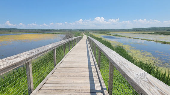 Arcadia Marsh Boardwalk