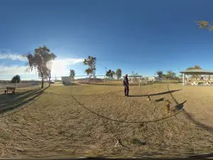 Spike's Desert Dog Parks