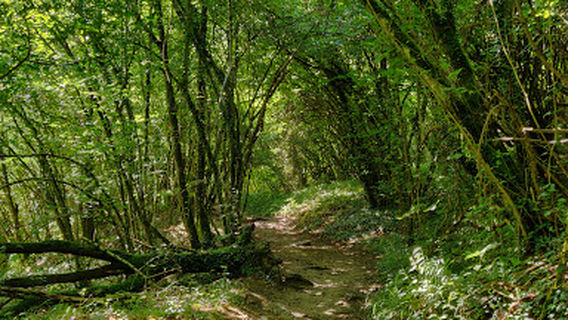 Centro Visita del Parco Nazionale delle Foreste Casentinesi