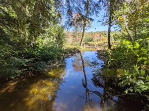 Mongaup Pond Campground