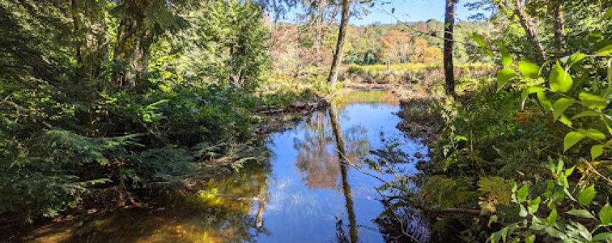 Mongaup Pond Campground