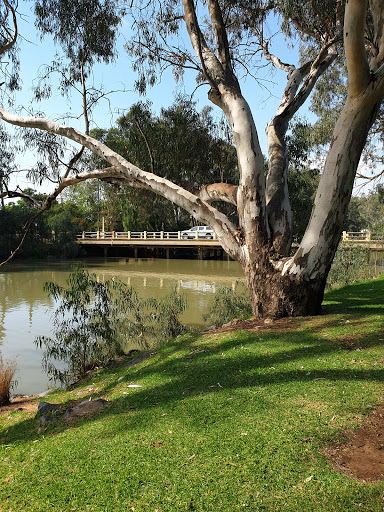 Apex Park