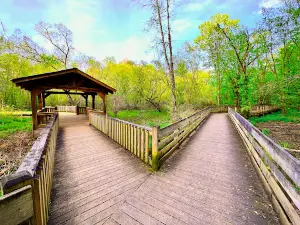 Murphy River Walk