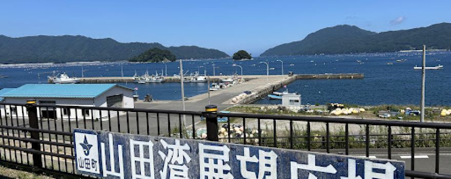 Yamada Bay Observation Deck