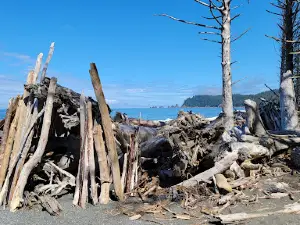 Rialto Beach