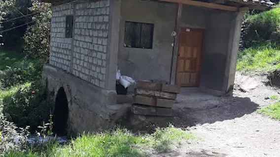 Molinos y truchas Juan Diego