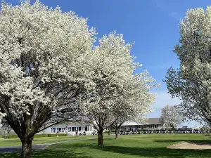 Meadowview Golf Course