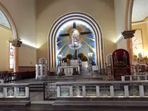 Beato Francisco de Paula Victor - PADRE VICTOR