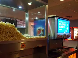 Movies 16: Janesville
