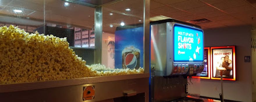 Movies 16: Janesville