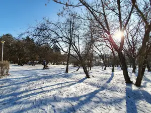 Detunata Park
