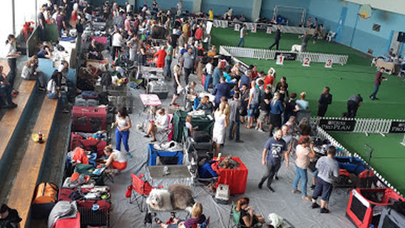 Givi Chokheli Stadium