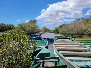 Caroni Bird Sanctuary