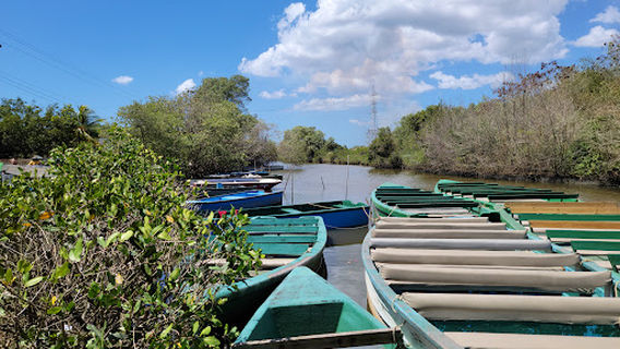 Caroni Bird Sanctuary