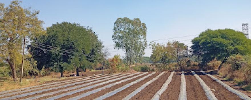 Suryawanshi farm