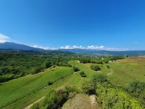 Shatoyevskaya Boyevaya Bashnya