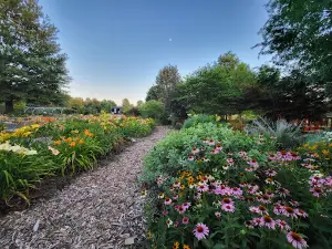 Drost Park