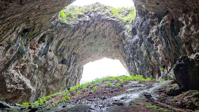 Yarrangobilly Caves Thermal Pool