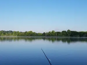 Bass Lake