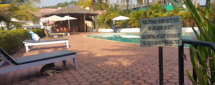 Peace Valley social club Goa