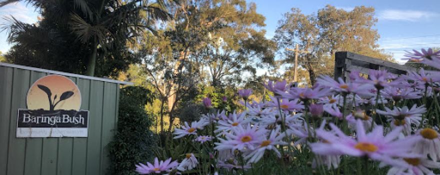 Baringa Bush Community Garden Seaforth