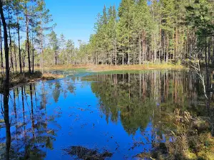 Meenikunno trail