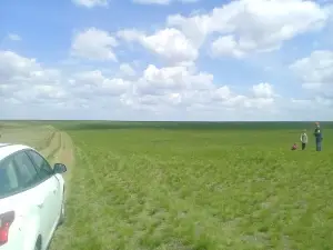 Ivanovo field