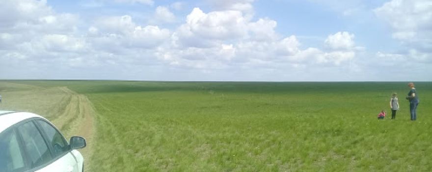 Ivanovo field