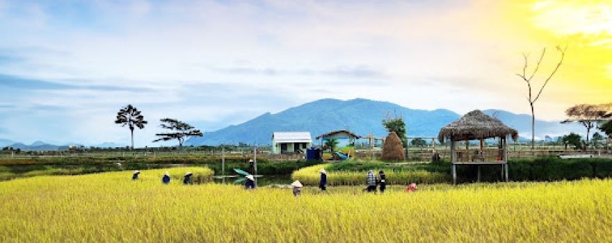 Thôn Trang Liên Nhật