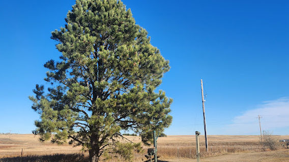 Medicine Rocks State Park