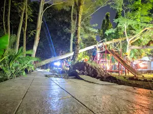 Taman Firdaus